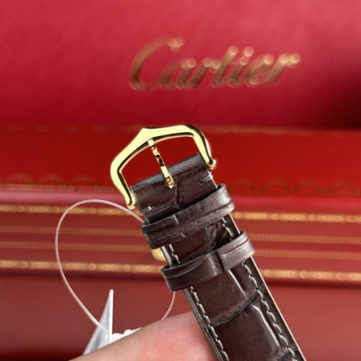 Custom Cartier Santos WSSA0064 Brown Dial - Swiss Cartier8 - Image 5