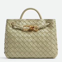 Custom Bottega Veneta Small Andiamo
