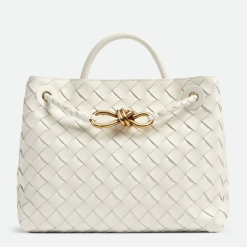 Custom Bottega Veneta Small Andiamo