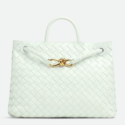 Custom Bottega Veneta Small Andiamo