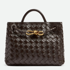 Custom Bottega Veneta Small Andiamo