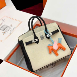 Custom Hermes Birkin 25 Sellier Faubourg