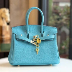 Custom Hermes Birkin 25