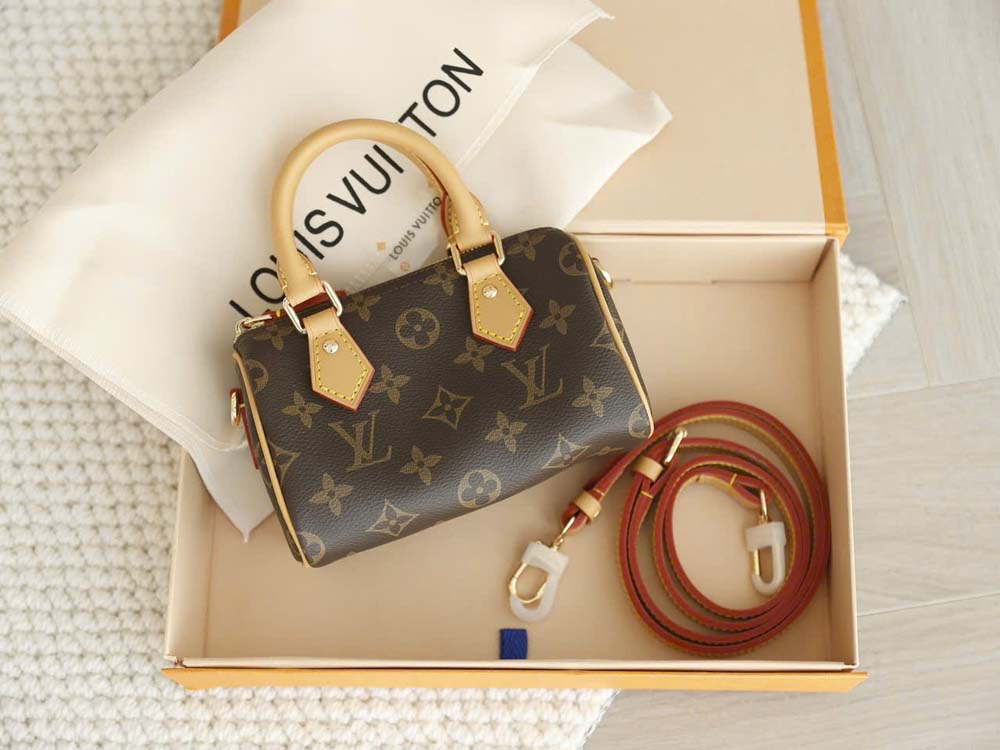 Custom Louis Vuitton Speedy Nano