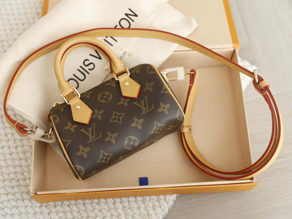 Custom Louis Vuitton Speedy Nano - Image 3