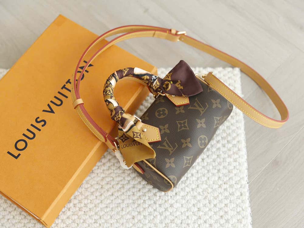Custom Louis Vuitton Speedy Nano - Image 2