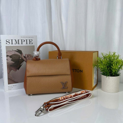 Custom Louis Vuitton Clunny Mini