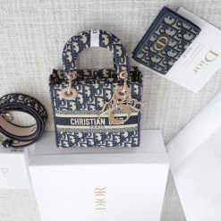 Custom Dior Lady D-Lite Set